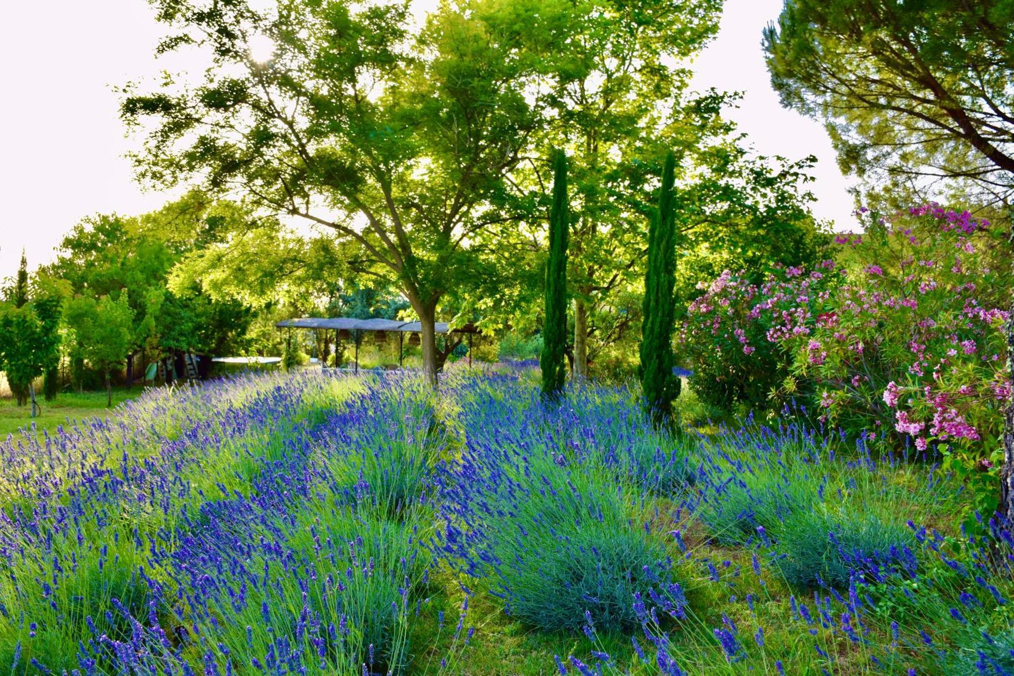Bastide Saint-Didier Exteriör bild